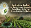 گرین پاکستان انیشیٹو: بلوچستان میں  1,147 ایکڑ بنجر زمین قابل کاشت