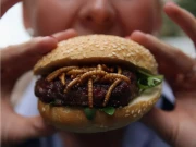 غذائیت سے بھرپور کیڑے اب کھانا ہوا اور بھی آسان اور صحت بخش