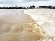 وہاڑی، ہیڈ اسلام پر ایک ارب روپے کے گراؤنڈ واٹر ریچارج منصوبے کا افتتاح