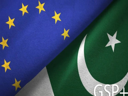جی ایس پی پلس رپورٹ ، پاکستان کیلیے پیشرفت اوردرپیش چیلنجز