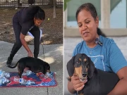 امریکا: کتے نے بوتلوں سے ڈھکن ہٹانے کا انوکھا ریکارڈ بنا ڈالا