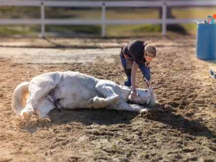 (تصویر: گینیز ورلڈ ریکارڈز)