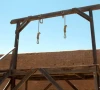 2 بھائیوں کو قتل کرنے والے کو دو بار پھانسی دینے کا حکم