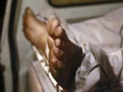 حیدرآباد، محفل میلاد کے لنگر کے دوران بچوں میں جھگڑا، بیچ بچاؤ کرانے والا تاجر جاں بحق