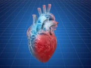 انسولین کے خلاف مزاحمت دل کی خطرناک بیماری سے تعلق رکھتی ہے، تحقیق