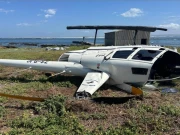 جنوبی افریقہ میں ایک پینگوئن کی وجہ سے ہیلی کاپٹر کو حادثہ