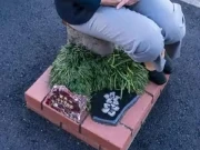 دنیا کا یہ چھوٹا ترین پارک کس ملک میں ہے؟ جانیے!