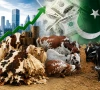 پاکستان میں عیدالاضحیٰ پر ذبیحہ جانوروں کی کھالوں سے بڑی معاشی سرگرمی متوقع