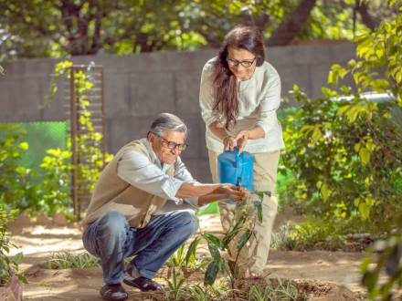 باغبانی کی عادت صحت کے لیے مفید، کینسر سمیت کئی بیماریوں کے خطرات کم ہوسکتے ہیں