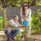 باغبانی کی عادت صحت کے لیے مفید، کینسر سمیت کئی بیماریوں کے خطرات کم ہوسکتے ہیں