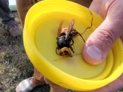 امریکا نے اندرونِ ملک بڑی جنگ جیت لی