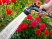 پنجاب حکومت نے ہوز پائپ کے استعمال پر پابندی عائد کردی