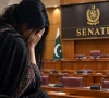 سینیٹ کمیٹی نے غیرت کے نام پر قتل کی روک تھام کا بل مزید مؤخر کر دیا