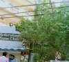 حیدرآباد پریس کلب کا نومنتخب تاجر رہنماؤں کے اعزاز میں عشائیہ