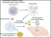دماغی بیماری کیخلاف لڑنے والے ’آسٹروکیپسولز‘