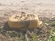 بنوں؛ سڑک کنارے نصب دیسی ساختہ بم ناکارہ بنا دیا گیا