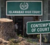وفاقی دارالحکومت کی حدود سے اب ایک درخت بھی کٹا تو توہین عدالت تصور ہوگی، اسلام آباد ہائیکورٹ