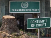 وفاقی دارالحکومت کی حدود سے اب ایک درخت بھی کٹا تو توہین عدالت تصور ہوگی، اسلام آباد ہائیکورٹ