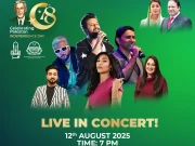  مریم نواز کی ہدایت پر پنجاب میں جشن آزادی کا بھرپور جشن، ہزاروں کی شرکت متوقع