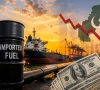 درآمدی ایندھن پر انحصار زرمبادلہ پر دباؤ بڑھا رہا ہے، شیخ تحسین