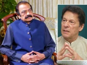 عمران خان کی جانب سے ڈیل مسترد کرنے کے بیان پر سیاسی ہلچل، رانا ثنا کی وضاحت