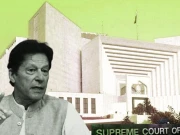 عمران خان سے ملاقات کی درخواست لیکر علی امین  سپریم کورٹ پہنچ گئے، عدالت کے اہم ریمارکس