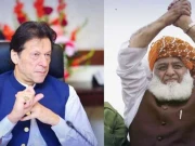 عمران خان نے مولانا فضل الرحمٰن کے حوالے سے پارٹی کو اہم ہدایات دے دیں