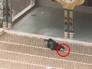 بھارتی اسپانسرڈ فتنہ الخوارج مذہبی لبادے کی آڑ میں دہشتگردی میں ملوث، ویڈیوز سامنے آگئیں