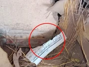 ’بھارتی جارحیت ہندوتوا نظریے کی عکاسی اور عالمی قوانین کی خلاف ورزی ہے‘: ویڈیو دیکھیں