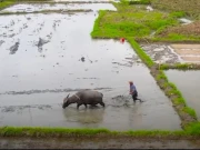 بھارت امریکا تجارتی معاہدے پر بھارتی کسانوں کا احتجاج، خدشات میں اضافہ