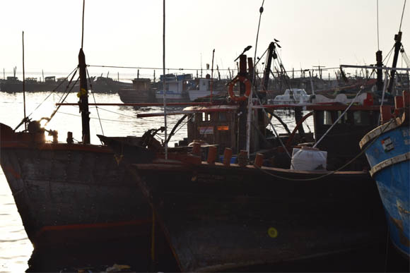 Indian fisherman arrest 3