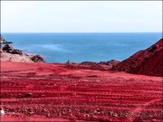 ایران کا ساحل ’’خون کی طرح سرخ‘‘ کیوں ہوگیا؟ ویڈیو وائرل