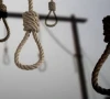 ایران میں لڑکی کو زیادتی کے بعد قتل کرنے کے مجرم کو سرعام پھانسی دیدی گئی