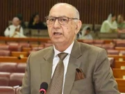 پی ٹی آئی کے ارکان آج جو کاٹ رہے ہیں وہ انہوں نے خود بویا تھا، عرفان صدیقی