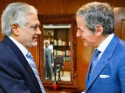 عالمی جوہری توانائی ایجنسی کے ڈائریکٹر جنرل کا اسحاق ڈار سے رابطہ