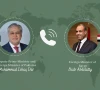 اسحاق ڈار کا مصری وزیر خارجہ سے رابطہ، چینی سفیر سے ملاقات