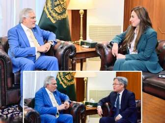 نائب وزیراعظم سے امریکی ناظم الامور اورچینی سفیر کی اہم ملاقاتیں