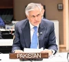 اسرائیل کی غیرقانونی آبادکاری فلسطینی ریاست کے قیام کیلیے بڑا خطرہ ہے، وزیرِخارجہ