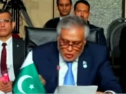 مشکل حالات میں مسلم امہ کے اتحاد اور مشترکہ اقدامات کی اشد ضرورت ہے، نائب وزیراعظم