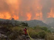 اسرائیلی یوم آزادی پر جنگلات میں آگ بھڑک اُٹھی؛ تقریبات منسوخ، ایمرجنسی نافذ