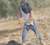 یہودی آبادکار کی ذہنی معذور فلسطینی نوجوان پر تشدد اور فائرنگ