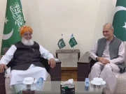 غزہ کیلیے اتحاد قائم، جماعت اسلامی اور جے یو آئی کا 27 اپریل کو مینار پاکستان پر جلسے کا اعلان