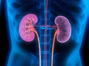 نائٹ شفٹ ڈیوٹی کرنے والے افراد کے گردوں میں کیا سنگین مسئلہ پیدا ہوسکتا ہے؟