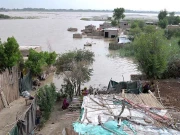 دریائے سندھ میں گڈو اور سکھر بیراج پر اونچے درجے کا سیلاب، کچے کے علاقے زیر آب