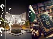 پارلیمان کو آئین میں ترمیم کرنے کا اختیار ہے، حسن رضا پاشا