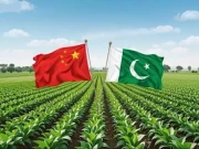 پاکستان کی زرعی شعبہ میں تاریخ ساز پیش رفت، عالمی شراکت داری کا روشن باب