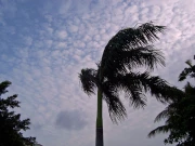 کراچی میں سرد ہواؤں کا راج، پارہ 9 ڈگری تک گرنے کا امکان