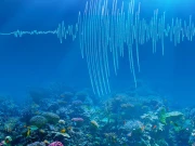 محکمہ موسمیات کراچی کی سمندری زلزلے کی فرضی مشق