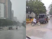 کراچی میں صرف 33 ملی میٹر بارش نے ایک بار پھر بلدیاتی اداروں کی کارکردگی کا پول کھول دیا