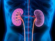 خیبرپختونخوا میں گردے کے امراض میں خطرناک حد تک اضافہ